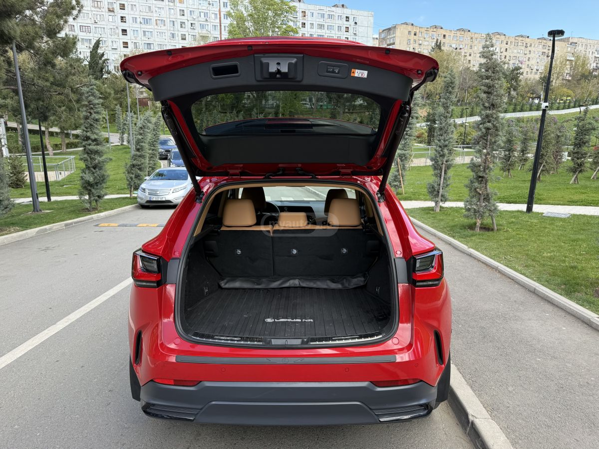 Lexus NX 250 - фото 14