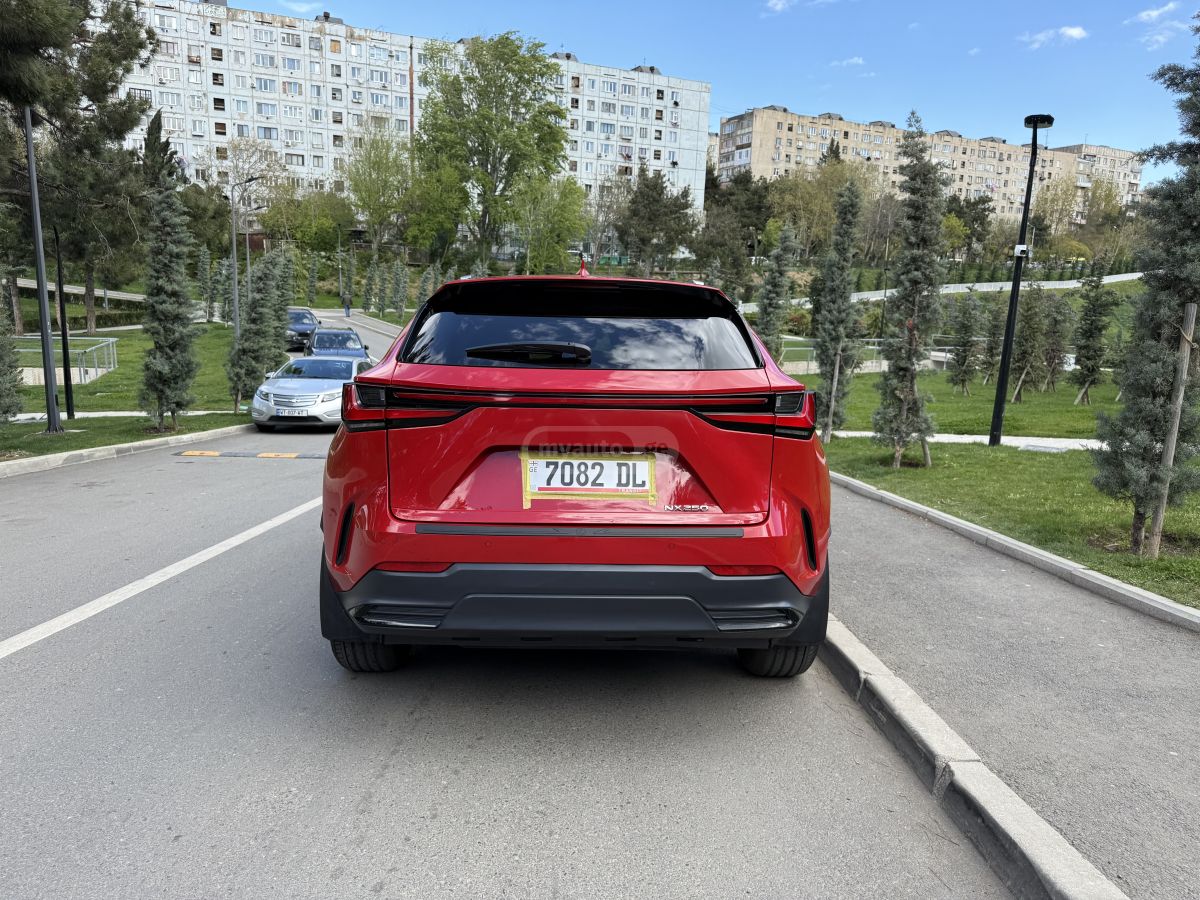 Lexus NX 250 - фото 4