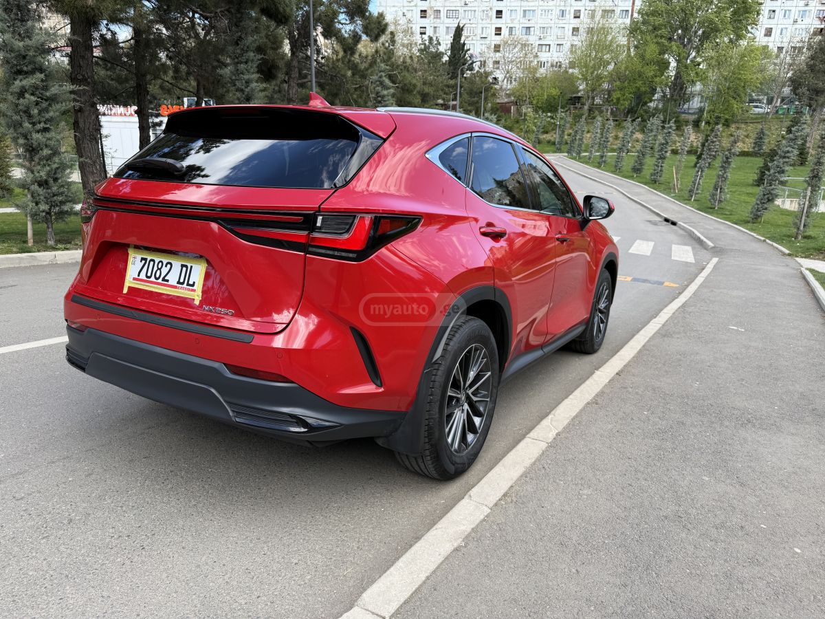 Lexus NX 250 - фото 5