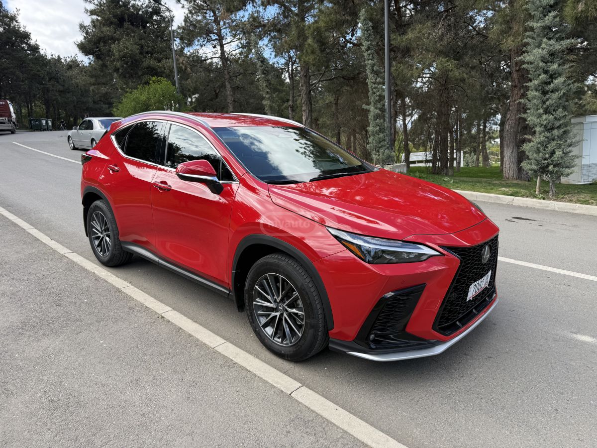 Lexus NX 250 - фото 7