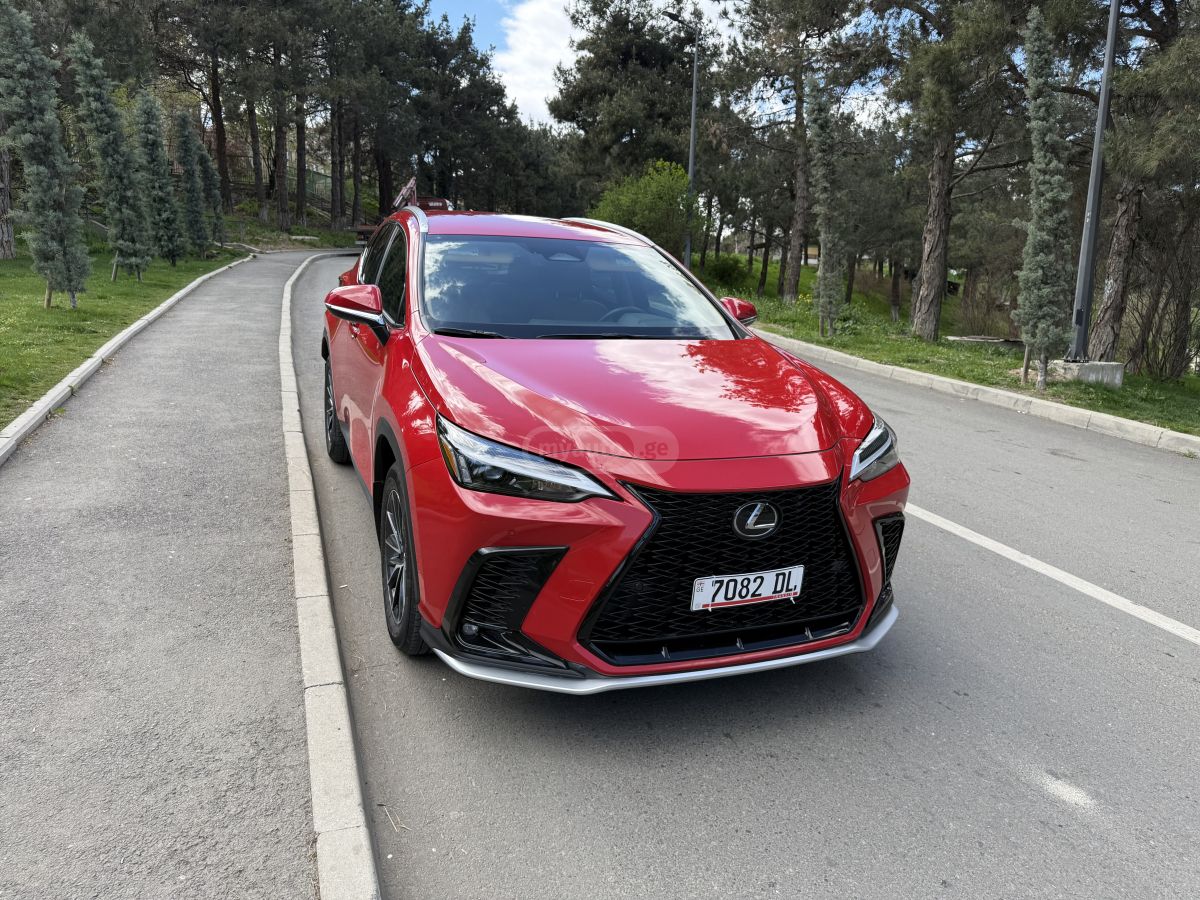 Lexus NX 250 - фото 8