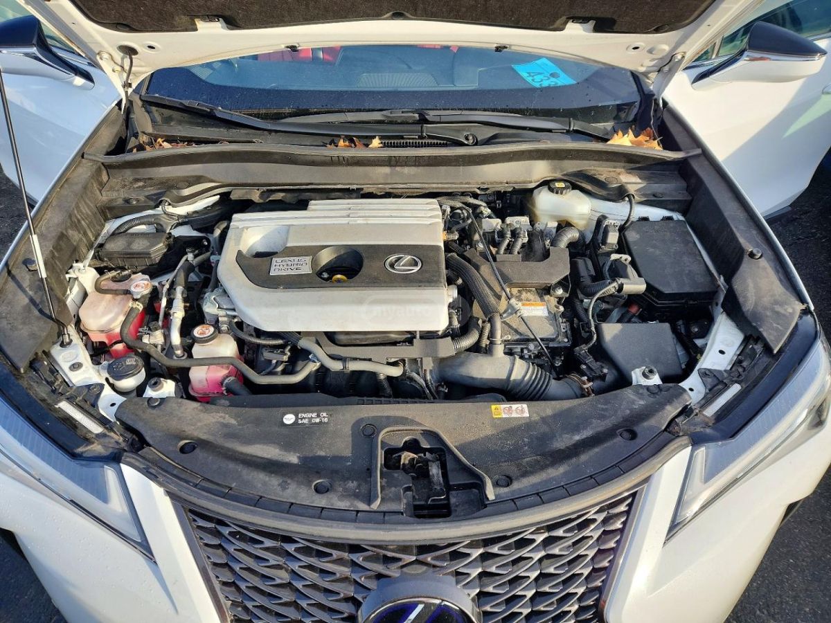 Lexus UX 200 2021 — миниатюра 11