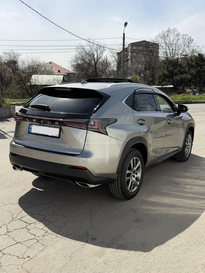 Lexus NX 200 - фото 6