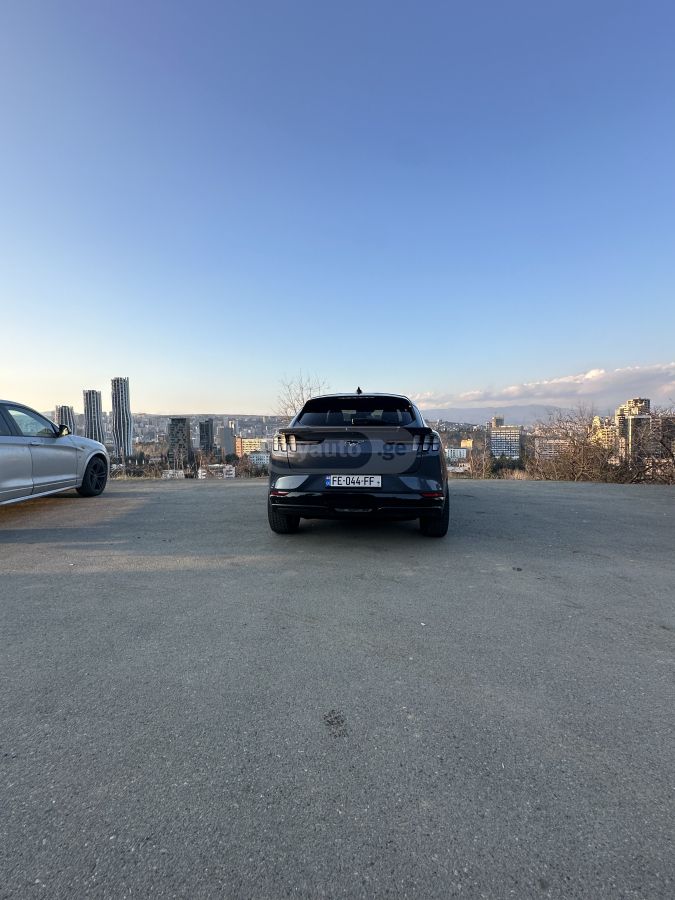 Ford Mustang Mach-E - фото 11