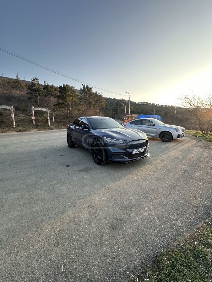 Ford Mustang Mach-E - фото 6
