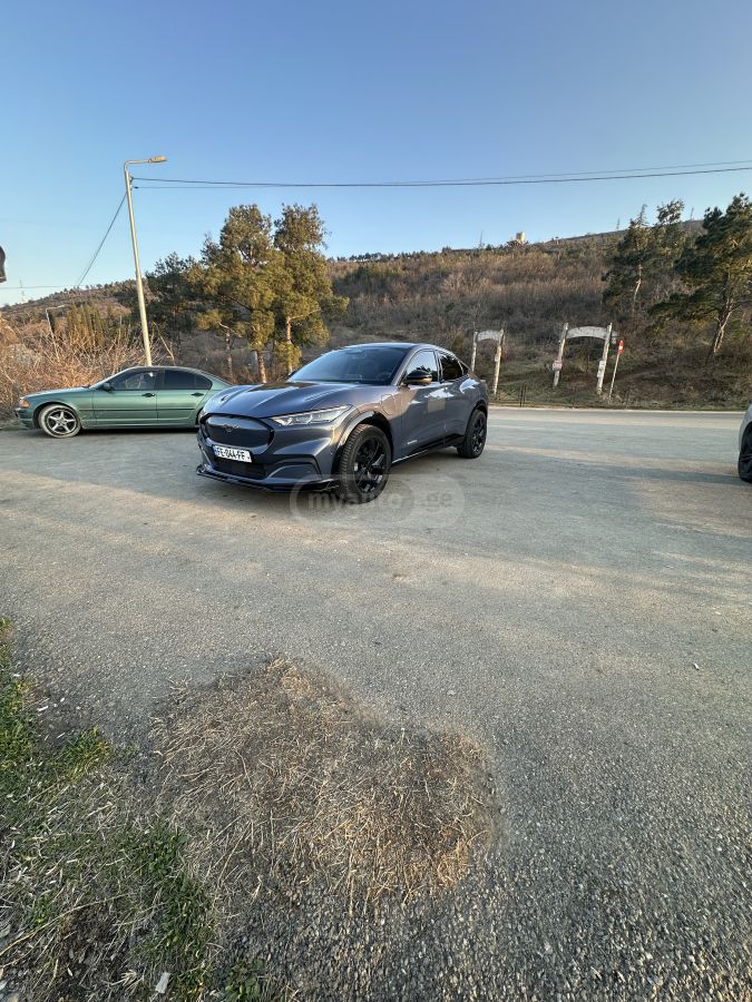 Ford Mustang Mach-E - фото 7