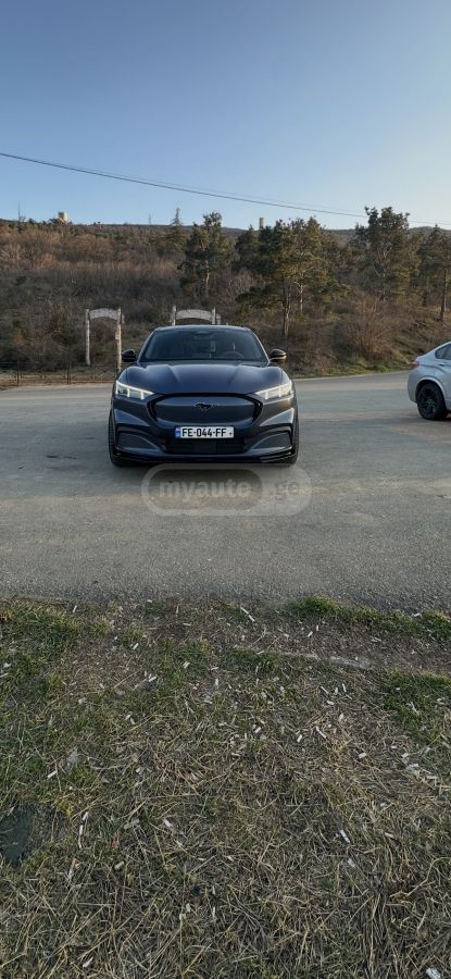 Ford Mustang Mach-E - фото 8