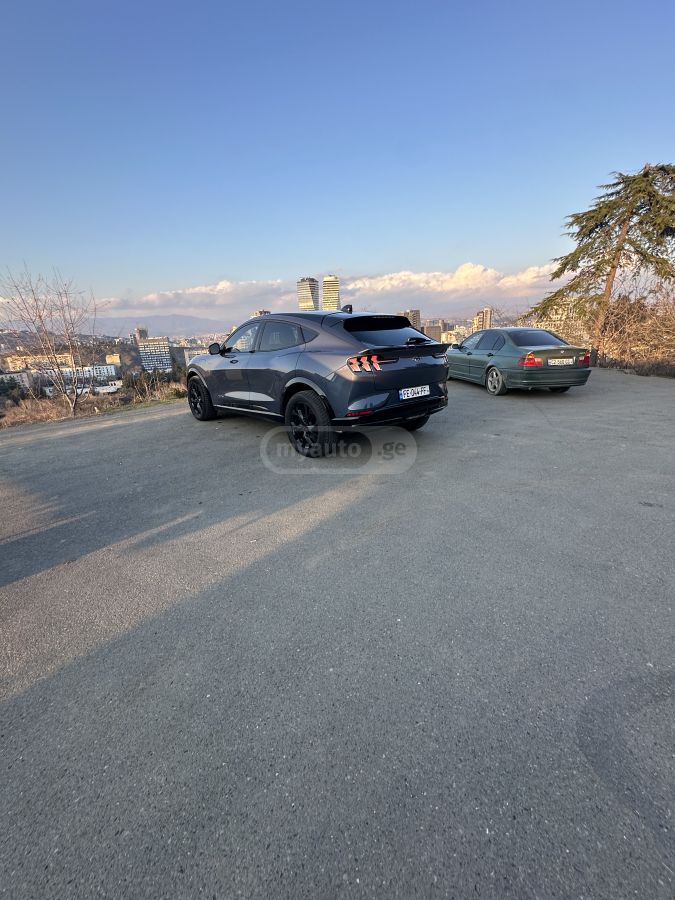 Ford Mustang Mach-E - фото 9