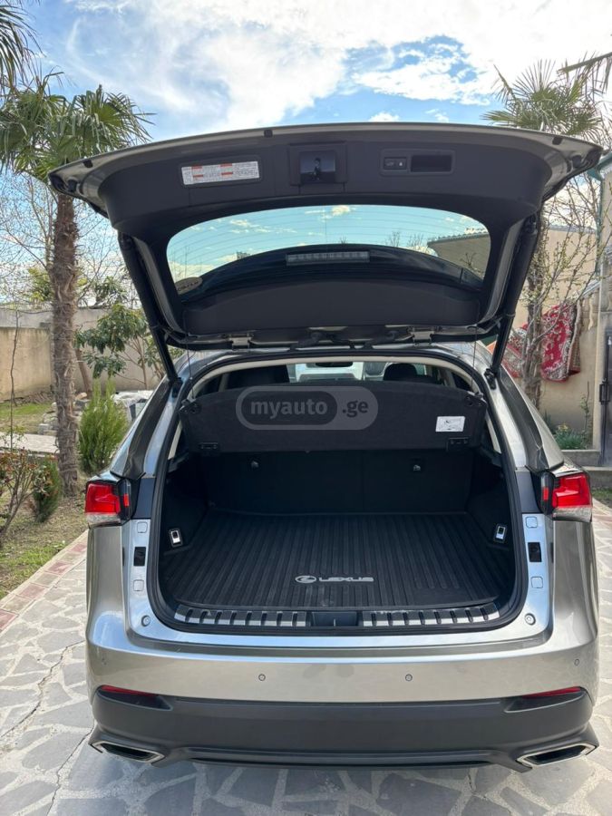 Lexus NX 300 F SPORT 4dr All-Wheel Drive Au 2021 — миниатюра 6