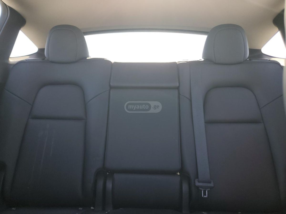 Tesla PERFORMANCE — миниатюра 10