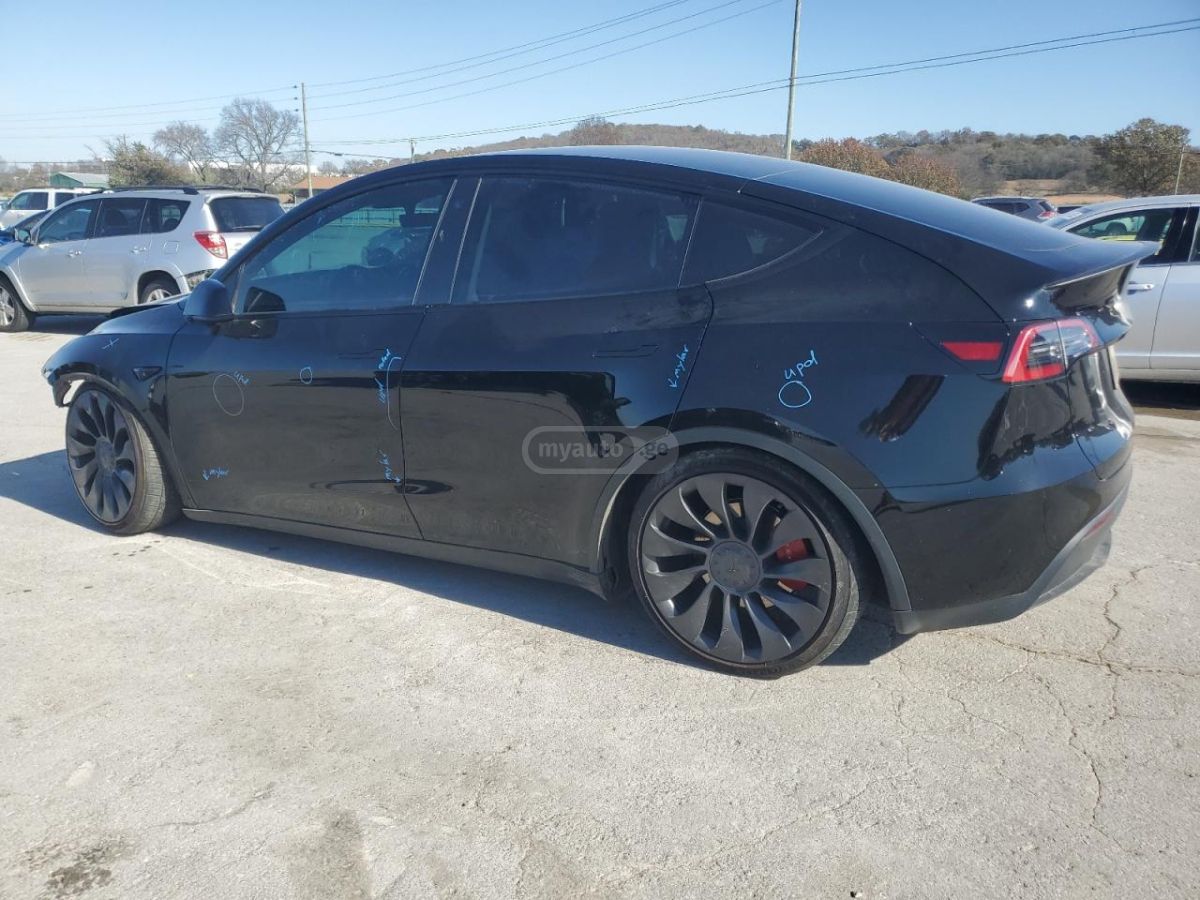 Tesla PERFORMANCE — миниатюра 3