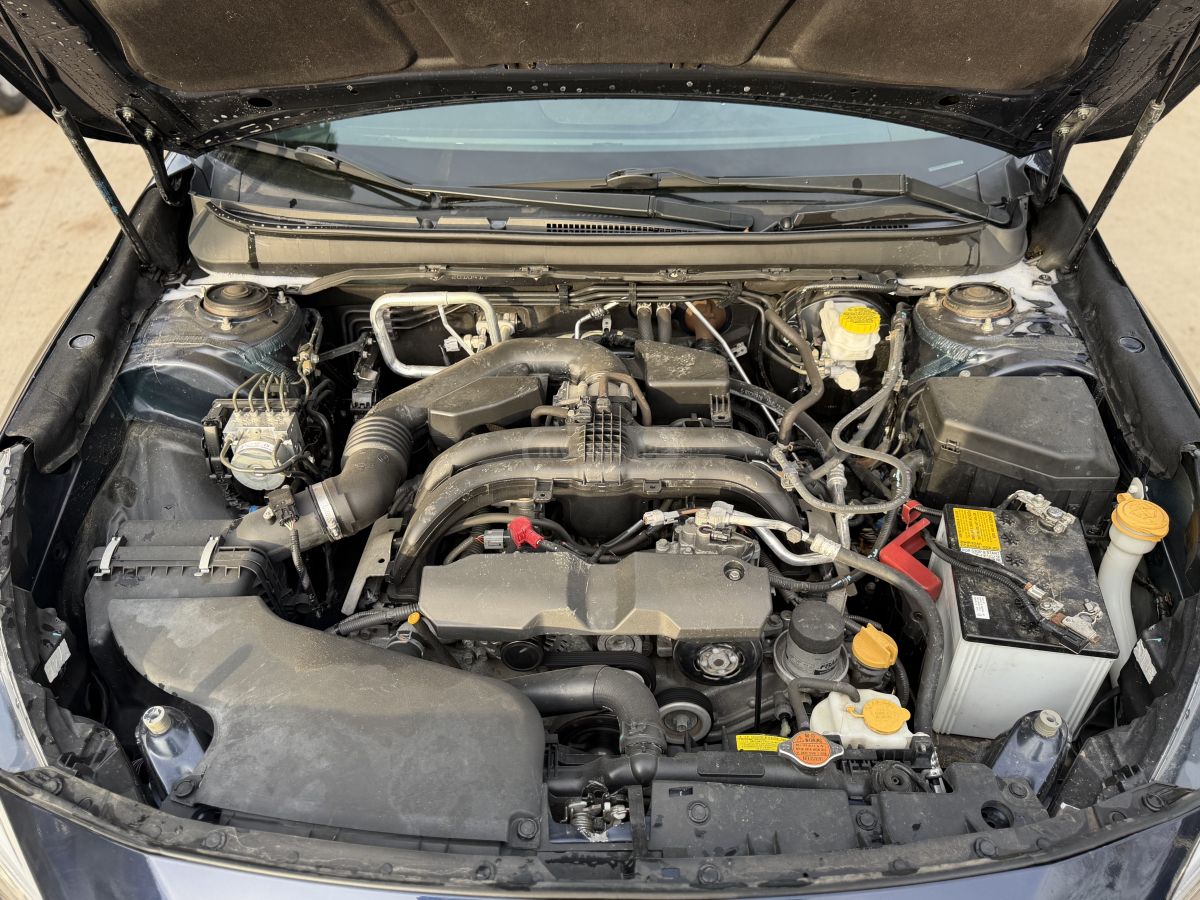 Subaru Outback - фото 12