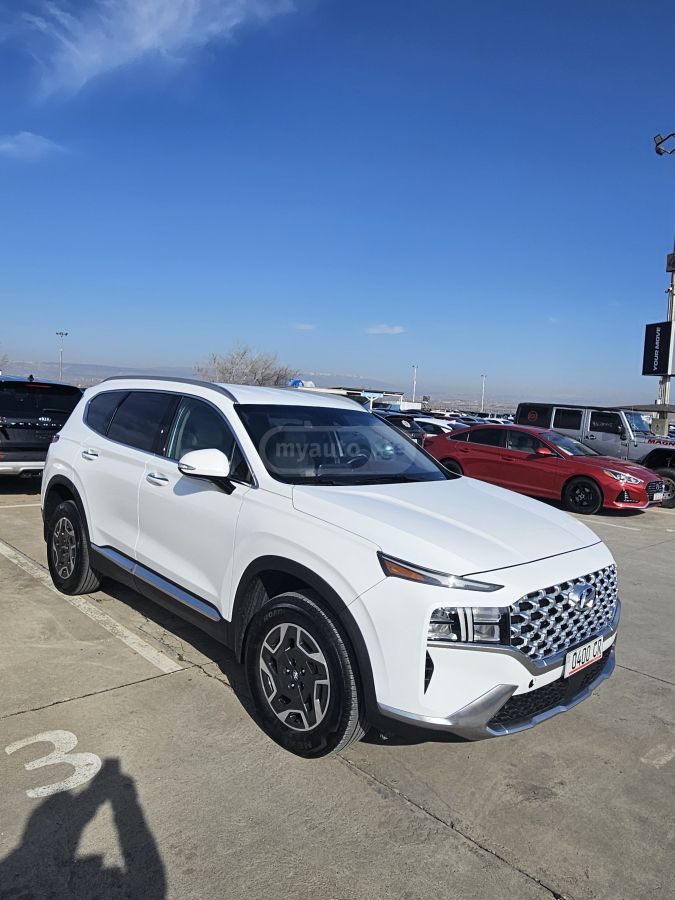 Hyundai Santa FE - фото 1