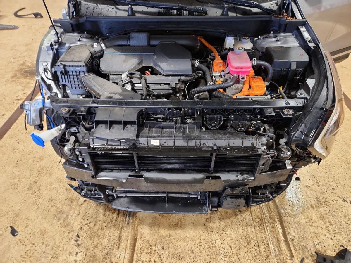 Kia Sportage - фото 11