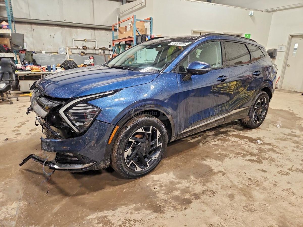 Kia Sportage - фото 1