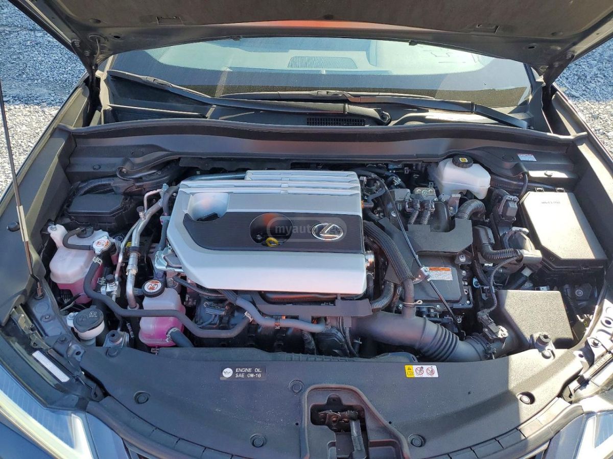 Lexus UX 250 h - фото 10