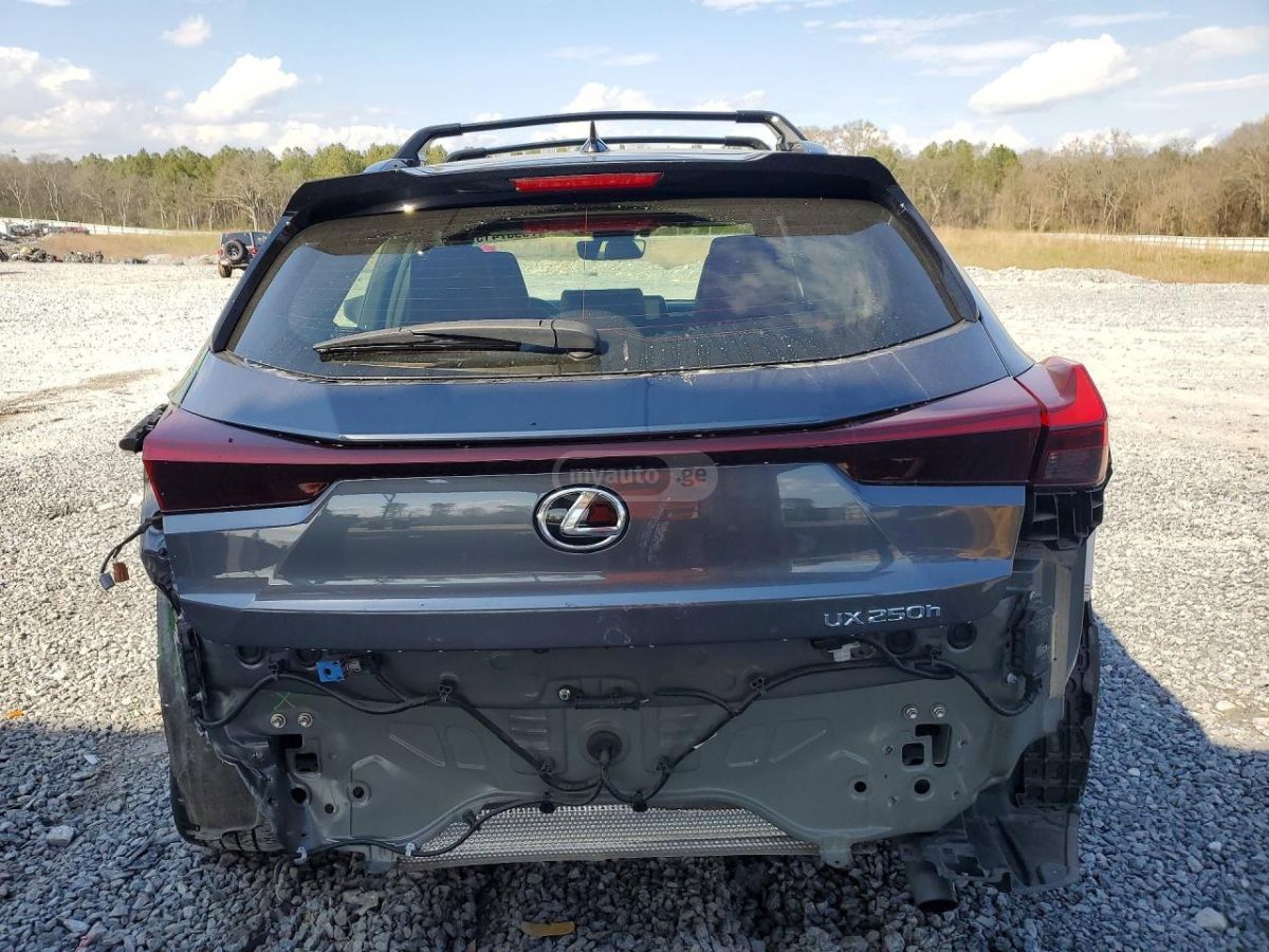 Lexus UX 250 h - фото 6