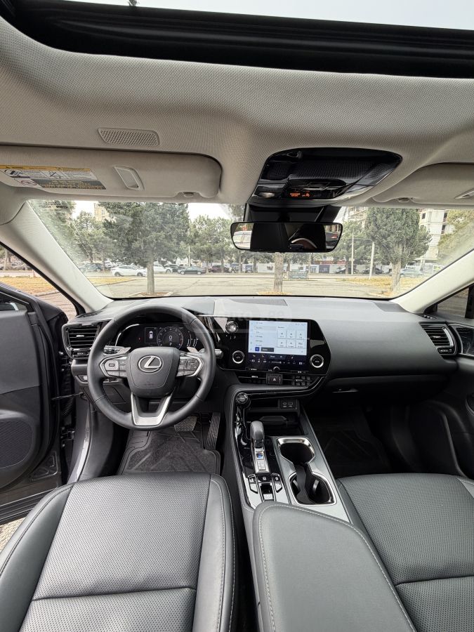 Lexus NX 350 - фото 11