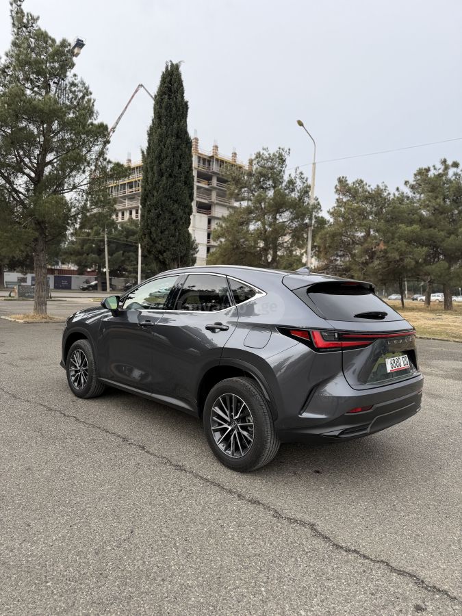 Lexus NX 350 - фото 5