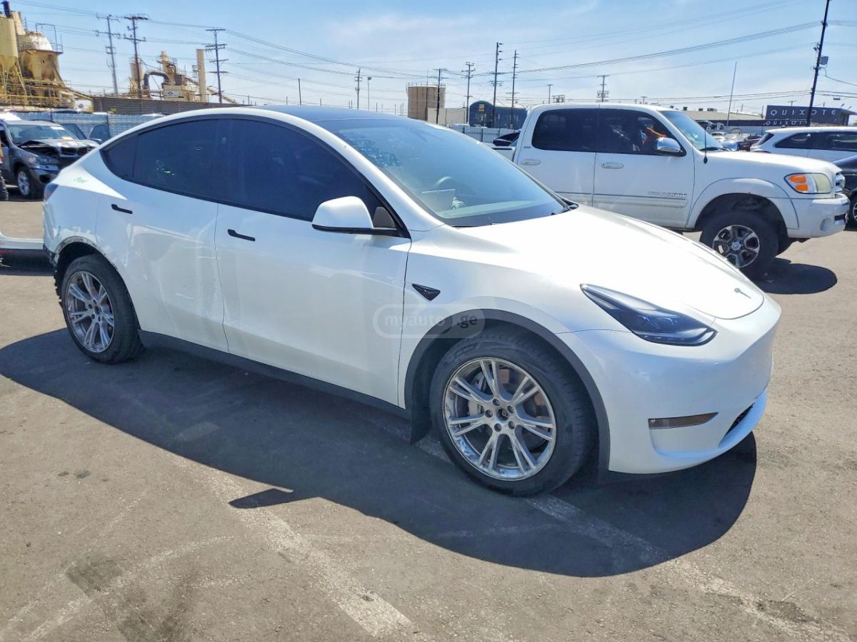 Tesla Model Y - фото 7