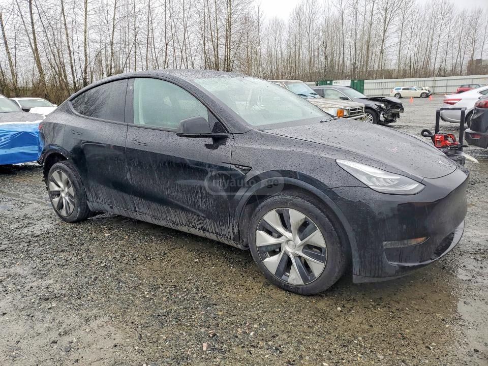 Tesla Model Y - фото 1