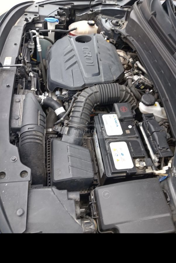 Kia Seltos 2021 — миниатюра 7