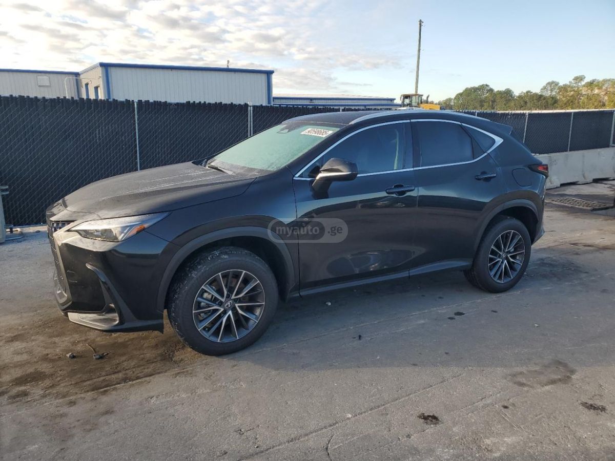 Lexus NX 250 2025 — миниатюра 1