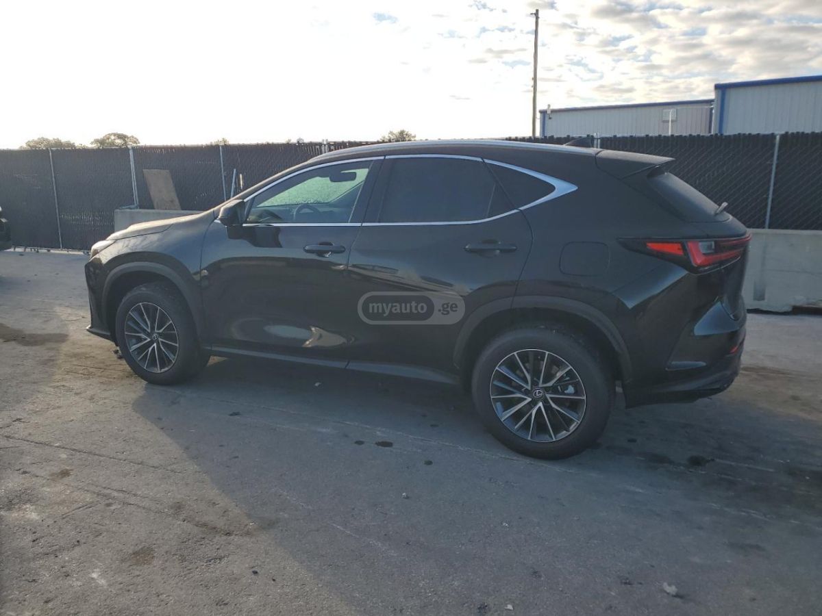 Lexus NX 250 2025 — миниатюра 2