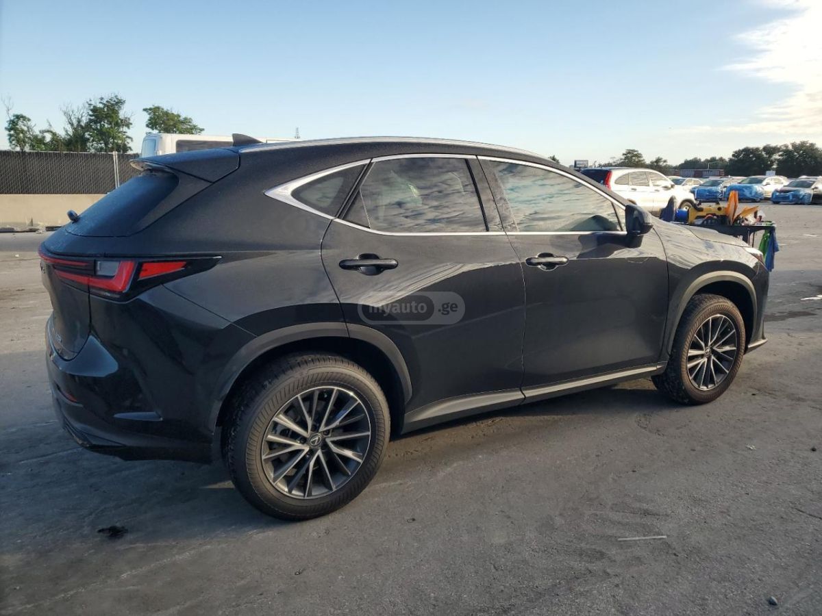 Lexus NX 250 2025 — миниатюра 3