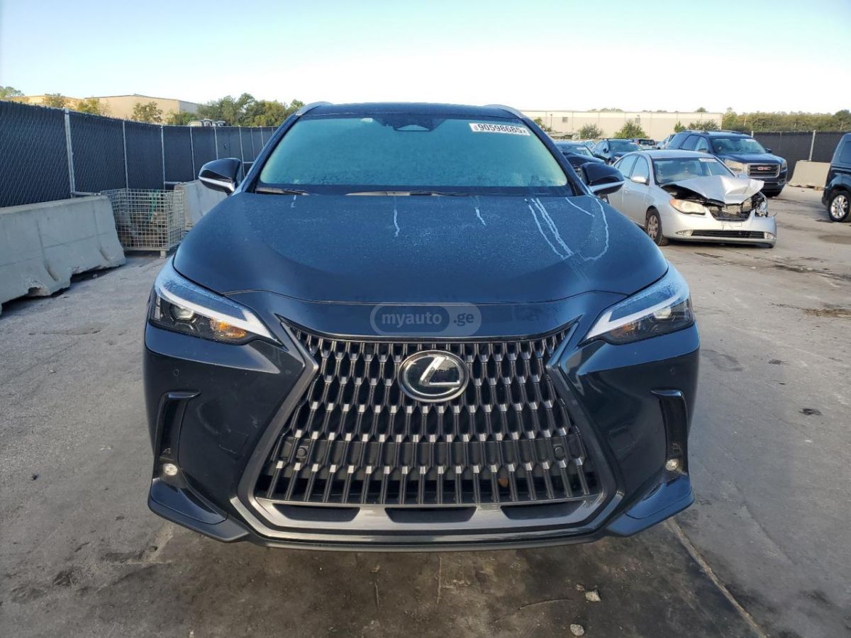 Lexus NX 250 2025 — миниатюра 5