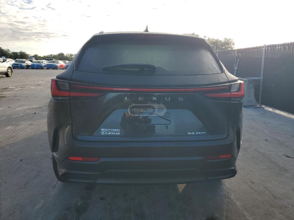 Lexus NX 250 2025 — миниатюра 6