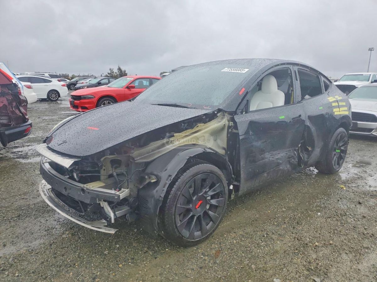 Tesla Model Y - фото 2