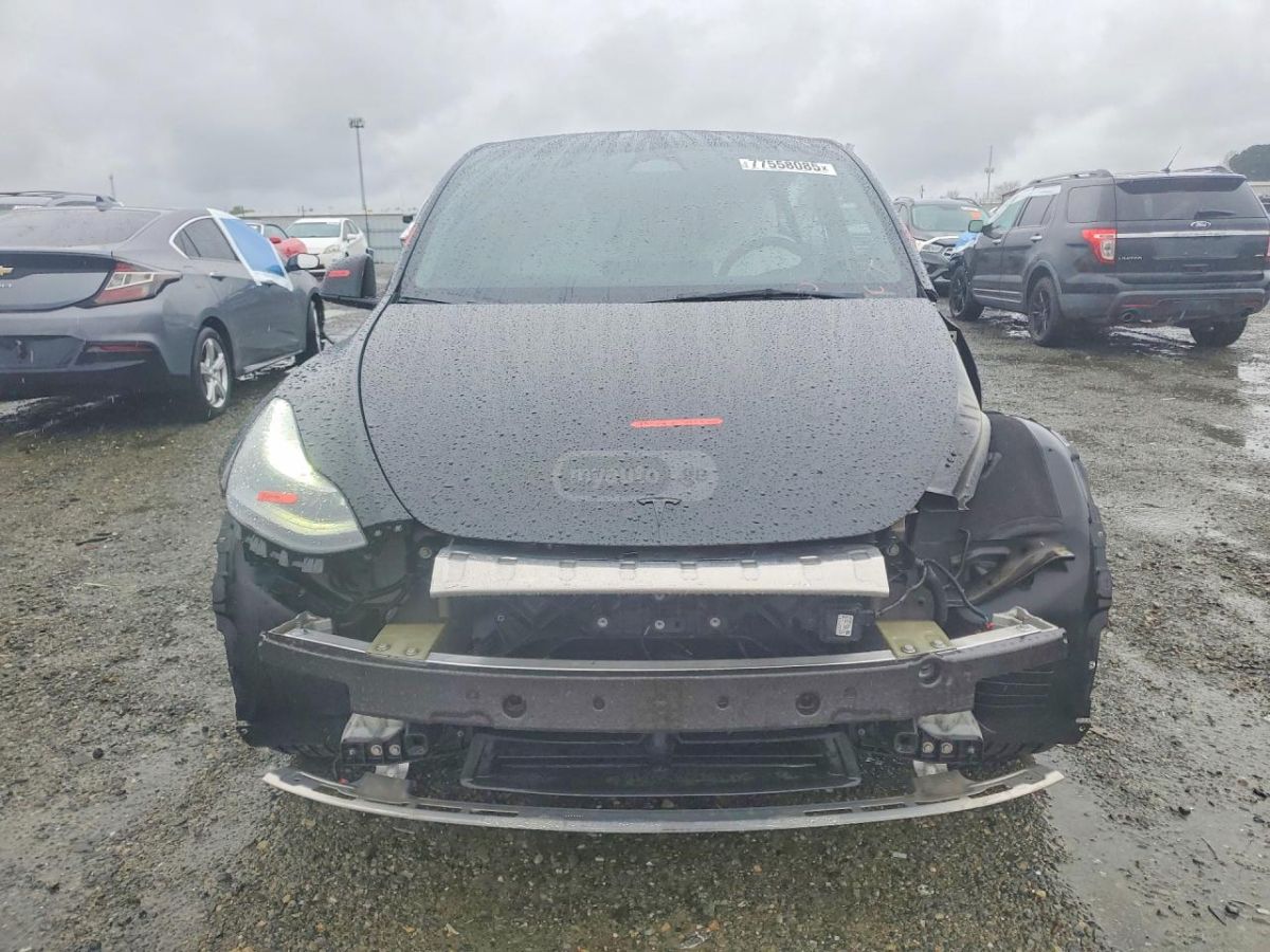 Tesla Model Y - фото 5