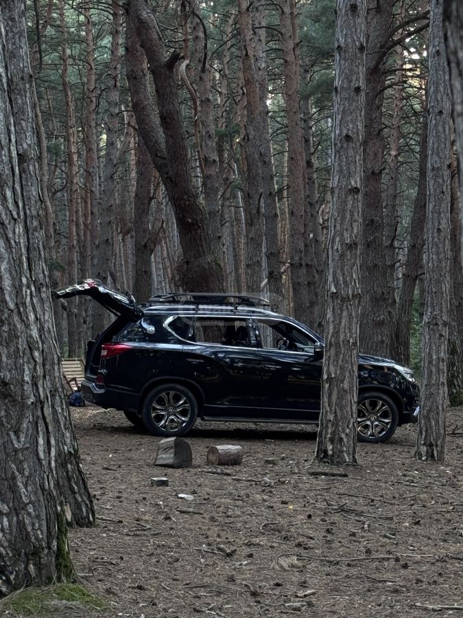 Ssangyong Rexton - фото 6