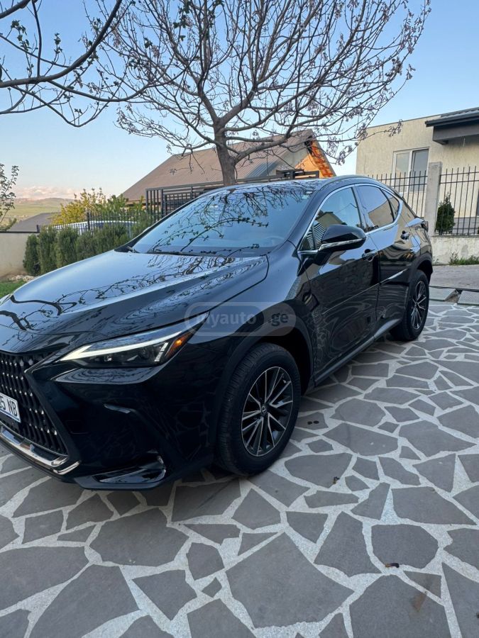 Lexus nx250 - фото 1