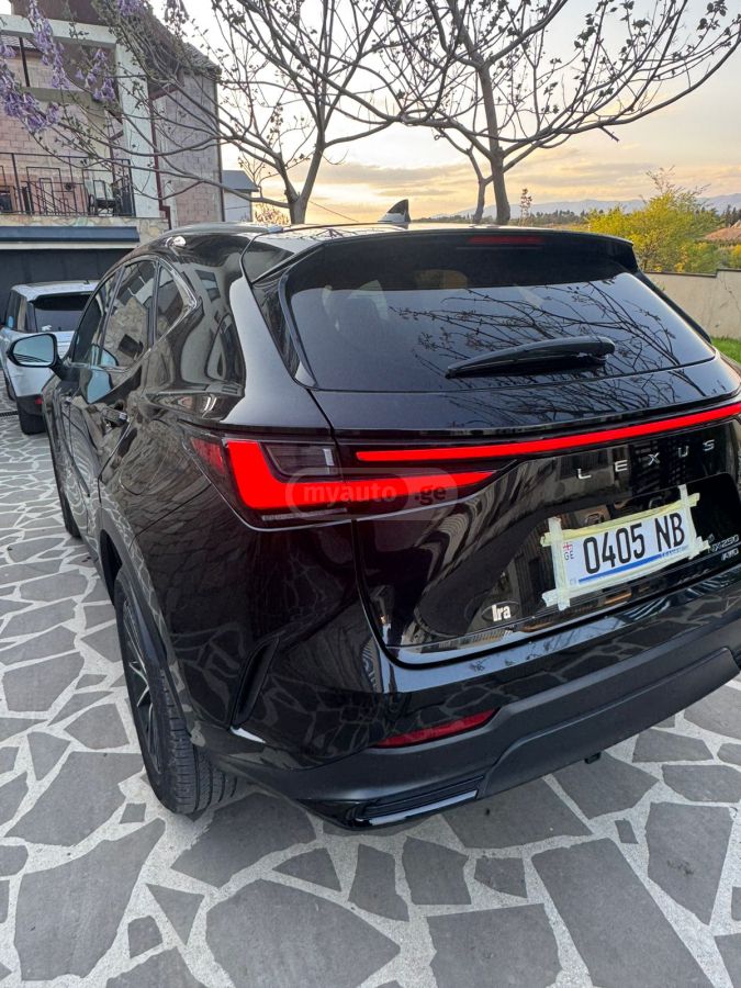 Lexus nx250 - фото 13