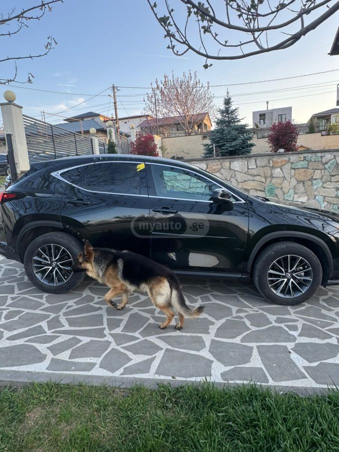 Lexus nx250 - фото 8