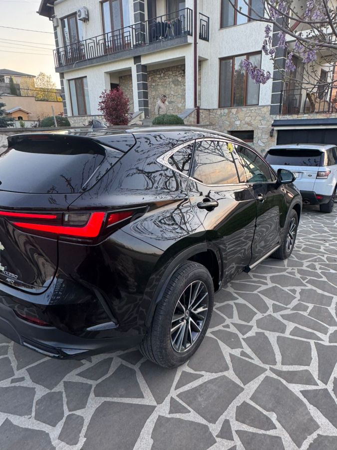 Lexus nx250 - фото 9