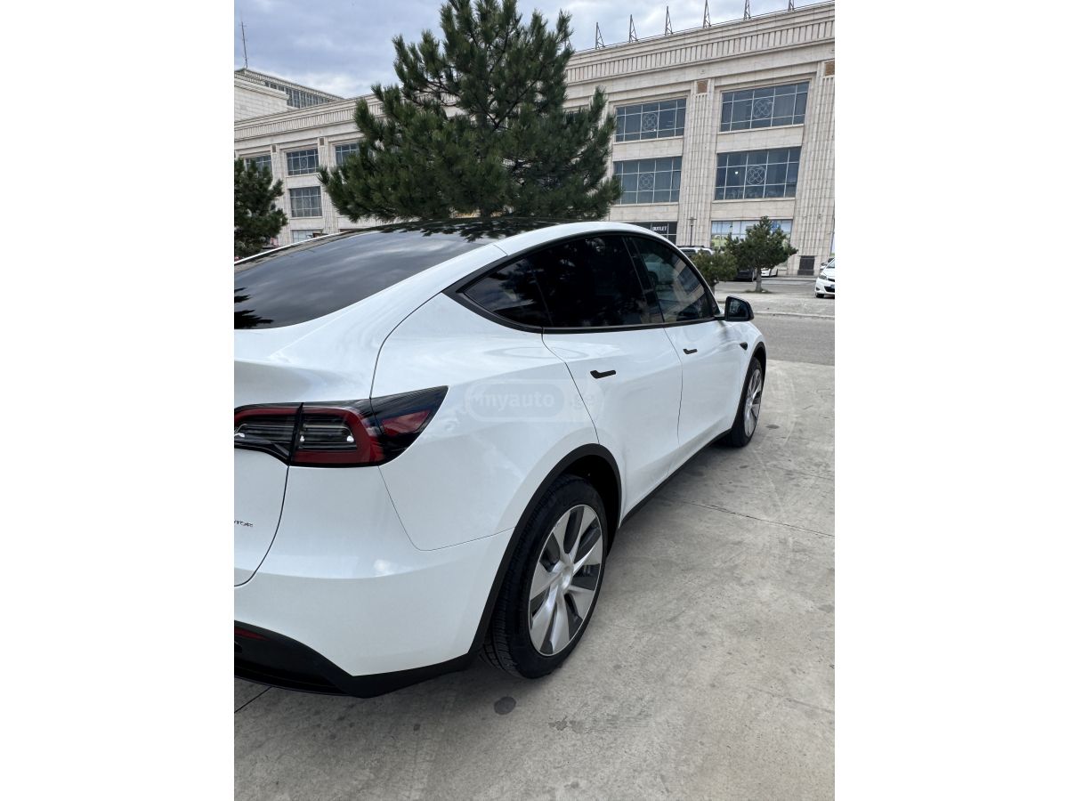 Tesla Model Y - фото 3
