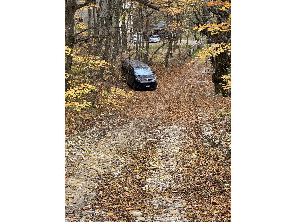 Mercedes-Benz Vito 2023 — миниатюра 6