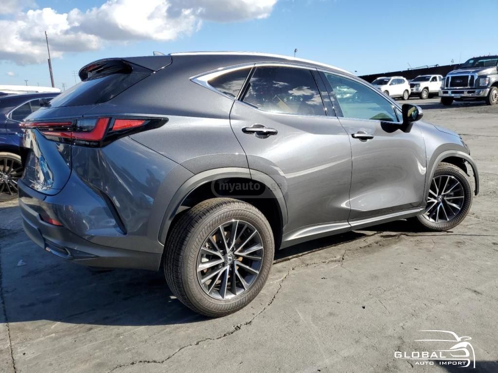 Lexus NX 350 - фото 1