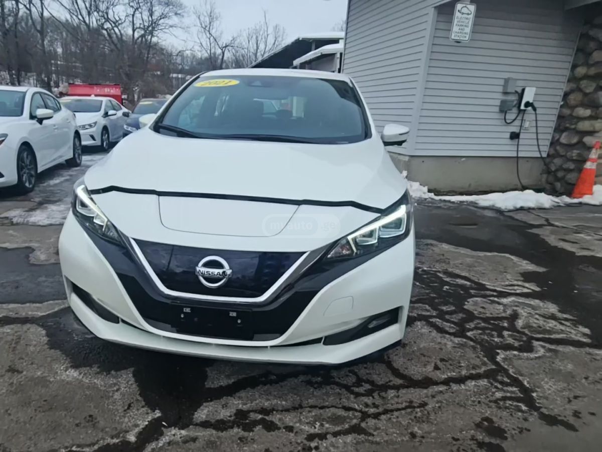 Nissan Leaf - фото 1