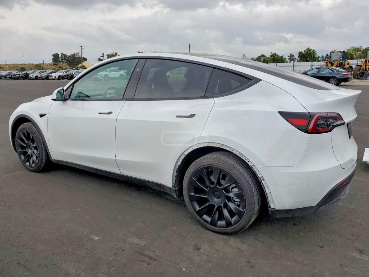 Tesla Model Y - фото 2