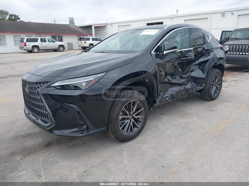 Lexus NX 350 - фото 1