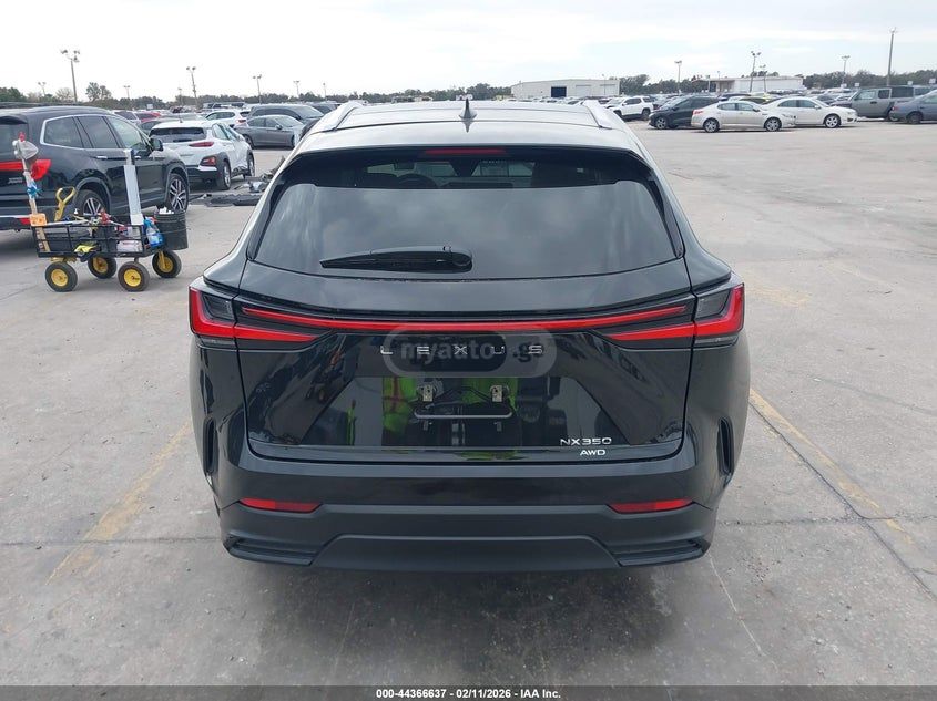 Lexus NX 350 - фото 6