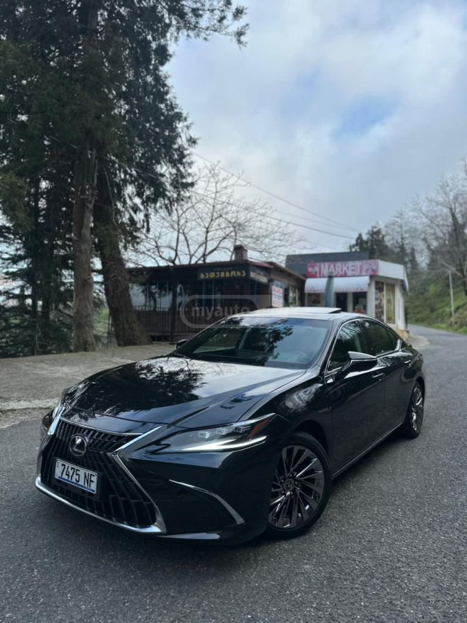 Lexus NX 300 2024 — миниатюра 15