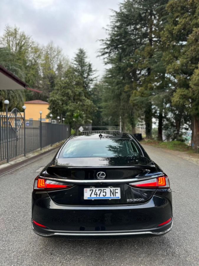 Lexus NX 300 2024 — миниатюра 2