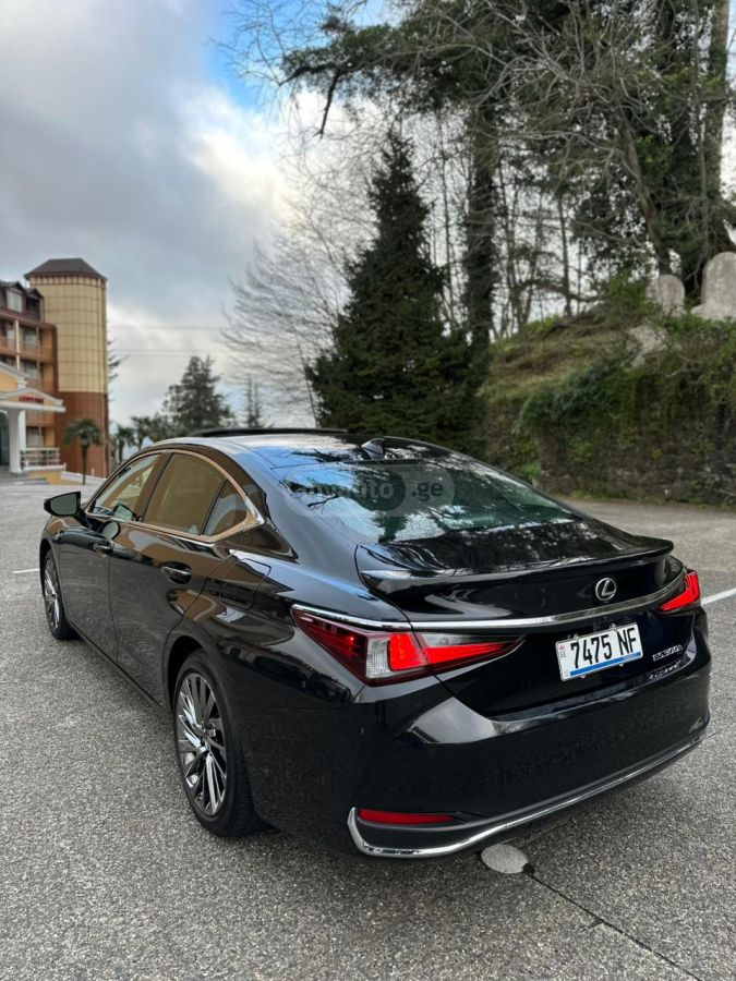 Lexus NX 300 2024 — миниатюра 7