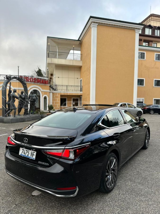 Lexus NX 300 2024 — миниатюра 8