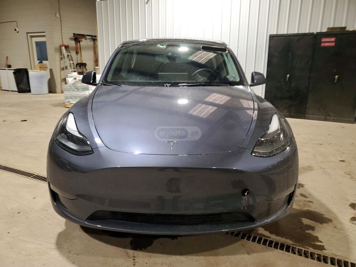 Tesla Dual Motor — миниатюра 2